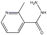 2-methylpyridine-3-carbohydrazide Struktur