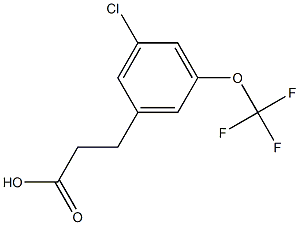 3-(3-chloro-5-(trifluoromethoxy)phenyl)propanoic acid Struktur