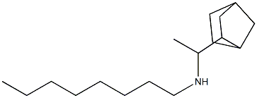 (1-{bicyclo[2.2.1]heptan-2-yl}ethyl)(octyl)amine Struktur