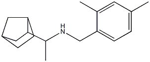 (1-{bicyclo[2.2.1]heptan-2-yl}ethyl)[(2,4-dimethylphenyl)methyl]amine Struktur