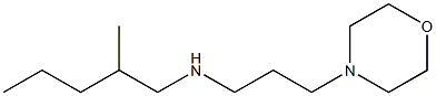 (2-methylpentyl)[3-(morpholin-4-yl)propyl]amine Struktur