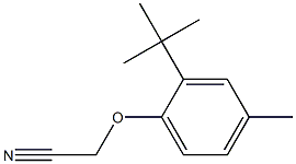 (2-tert-butyl-4-methylphenoxy)acetonitrile Struktur