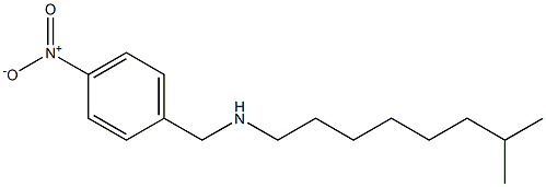 (7-methyloctyl)[(4-nitrophenyl)methyl]amine Struktur