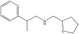 (oxolan-2-ylmethyl)(2-phenylpropyl)amine Struktur