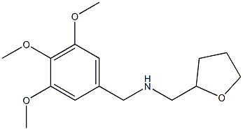 (oxolan-2-ylmethyl)[(3,4,5-trimethoxyphenyl)methyl]amine Struktur