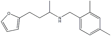 [(2,4-dimethylphenyl)methyl][4-(furan-2-yl)butan-2-yl]amine Struktur