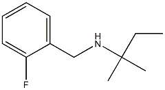 [(2-fluorophenyl)methyl](2-methylbutan-2-yl)amine Struktur