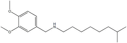 [(3,4-dimethoxyphenyl)methyl](7-methyloctyl)amine Struktur