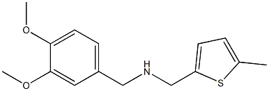 [(3,4-dimethoxyphenyl)methyl][(5-methylthiophen-2-yl)methyl]amine Struktur