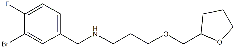 [(3-bromo-4-fluorophenyl)methyl][3-(oxolan-2-ylmethoxy)propyl]amine Struktur