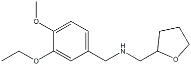 [(3-ethoxy-4-methoxyphenyl)methyl](oxolan-2-ylmethyl)amine Struktur