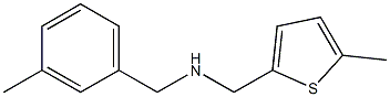 [(3-methylphenyl)methyl][(5-methylthiophen-2-yl)methyl]amine Struktur