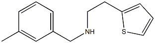 [(3-methylphenyl)methyl][2-(thiophen-2-yl)ethyl]amine Struktur