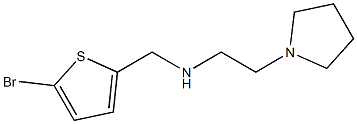 [(5-bromothiophen-2-yl)methyl][2-(pyrrolidin-1-yl)ethyl]amine Struktur