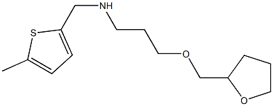 [(5-methylthiophen-2-yl)methyl][3-(oxolan-2-ylmethoxy)propyl]amine Struktur