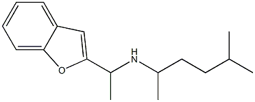 [1-(1-benzofuran-2-yl)ethyl](5-methylhexan-2-yl)amine Struktur