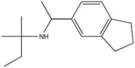 [1-(2,3-dihydro-1H-inden-5-yl)ethyl](2-methylbutan-2-yl)amine Struktur