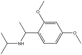 [1-(2,4-dimethoxyphenyl)ethyl](propan-2-yl)amine Struktur