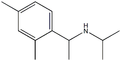 [1-(2,4-dimethylphenyl)ethyl](propan-2-yl)amine Struktur