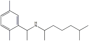 [1-(2,5-dimethylphenyl)ethyl](6-methylheptan-2-yl)amine Struktur