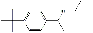 [1-(4-tert-butylphenyl)ethyl](propyl)amine Struktur