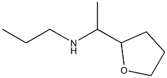 [1-(oxolan-2-yl)ethyl](propyl)amine Struktur