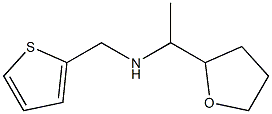 [1-(oxolan-2-yl)ethyl](thiophen-2-ylmethyl)amine Struktur