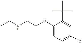 [2-(2-tert-butyl-4-methoxyphenoxy)ethyl](ethyl)amine Struktur