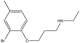 [3-(2-bromo-4-methylphenoxy)propyl](ethyl)amine Struktur