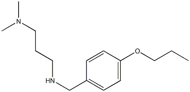 [3-(dimethylamino)propyl][(4-propoxyphenyl)methyl]amine Struktur