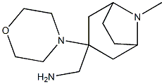 [8-methyl-3-(morpholin-4-yl)-8-azabicyclo[3.2.1]octan-3-yl]methanamine Struktur