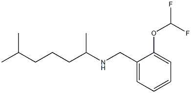 {[2-(difluoromethoxy)phenyl]methyl}(6-methylheptan-2-yl)amine Struktur