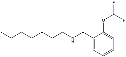 {[2-(difluoromethoxy)phenyl]methyl}(heptyl)amine Struktur