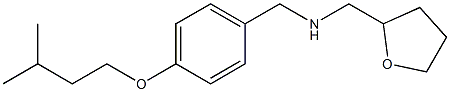 {[4-(3-methylbutoxy)phenyl]methyl}(oxolan-2-ylmethyl)amine Struktur