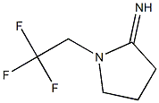 1-(2,2,2-trifluoroethyl)pyrrolidin-2-imine Struktur