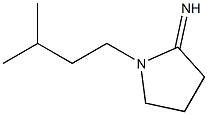 1-(3-methylbutyl)pyrrolidin-2-imine Struktur