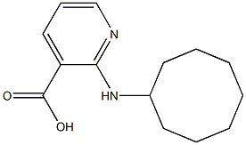 2-(cyclooctylamino)pyridine-3-carboxylic acid Struktur