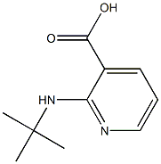 2-(tert-butylamino)pyridine-3-carboxylic acid Struktur