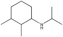 2,3-dimethyl-N-(propan-2-yl)cyclohexan-1-amine Struktur