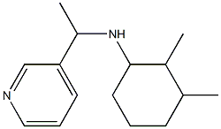 2,3-dimethyl-N-[1-(pyridin-3-yl)ethyl]cyclohexan-1-amine Struktur