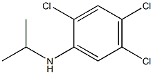 2,4,5-trichloro-N-(propan-2-yl)aniline Struktur