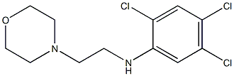 2,4,5-trichloro-N-[2-(morpholin-4-yl)ethyl]aniline Struktur