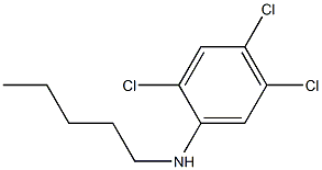 2,4,5-trichloro-N-pentylaniline Struktur