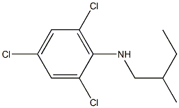 2,4,6-trichloro-N-(2-methylbutyl)aniline Struktur