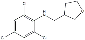 2,4,6-trichloro-N-(oxolan-3-ylmethyl)aniline Struktur