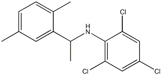 2,4,6-trichloro-N-[1-(2,5-dimethylphenyl)ethyl]aniline Struktur