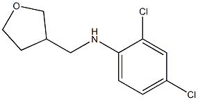 2,4-dichloro-N-(oxolan-3-ylmethyl)aniline Struktur