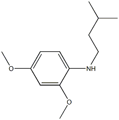 2,4-dimethoxy-N-(3-methylbutyl)aniline Struktur