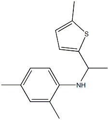 2,4-dimethyl-N-[1-(5-methylthiophen-2-yl)ethyl]aniline Struktur