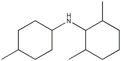 2,6-dimethyl-N-(4-methylcyclohexyl)cyclohexan-1-amine Struktur